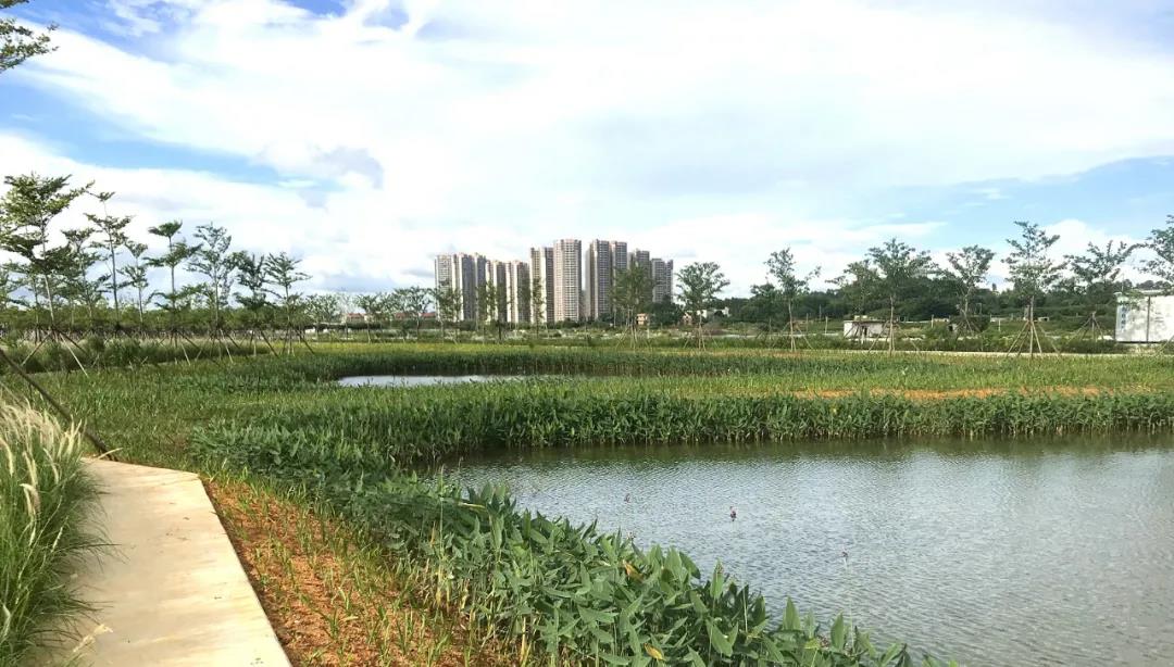 微信圖片_20210603131943.jpg