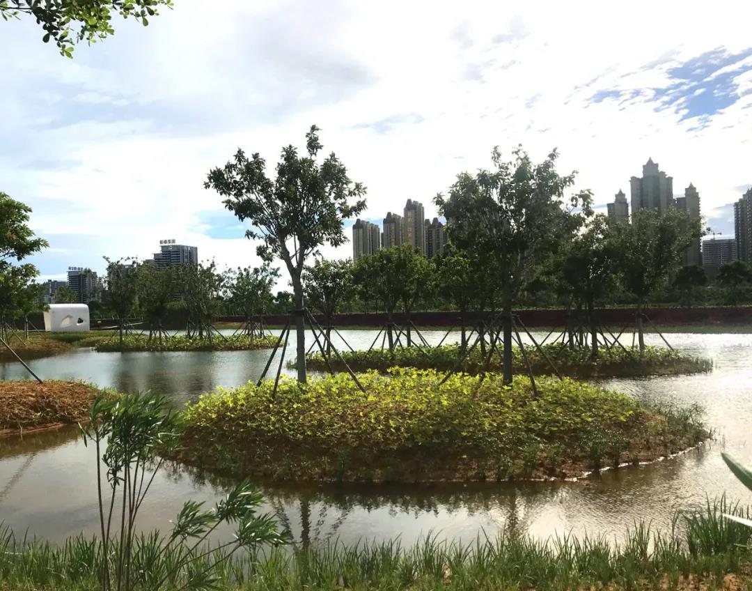 微信圖片_20210603131947.jpg