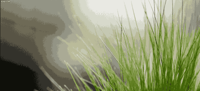 微信圖片_20210706141220.gif