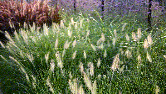 微信圖片_20210706141749.gif