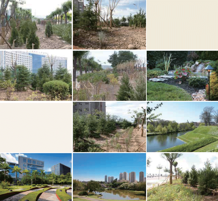 北京都潤生態環境工程有限公司-海綿城市建設-固原市西南新區綠化與海綿城市工程