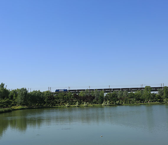 北京都潤生態環境工程有限公司-沿河風光帶-湖南道水河沿河風光帶