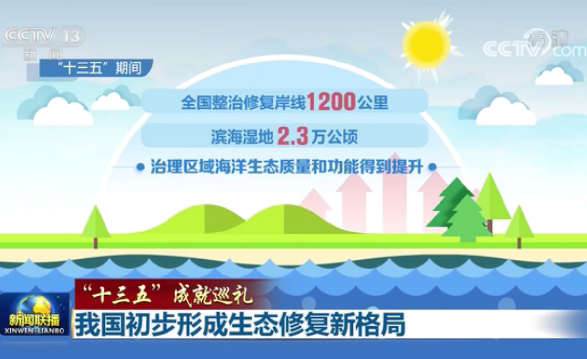 我國初步形成生態修復新格局