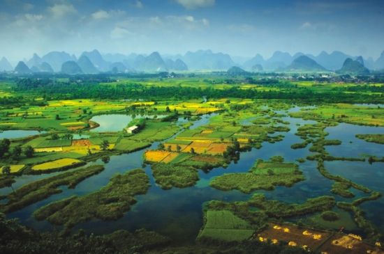濕地科普 | 濕地的強大功能