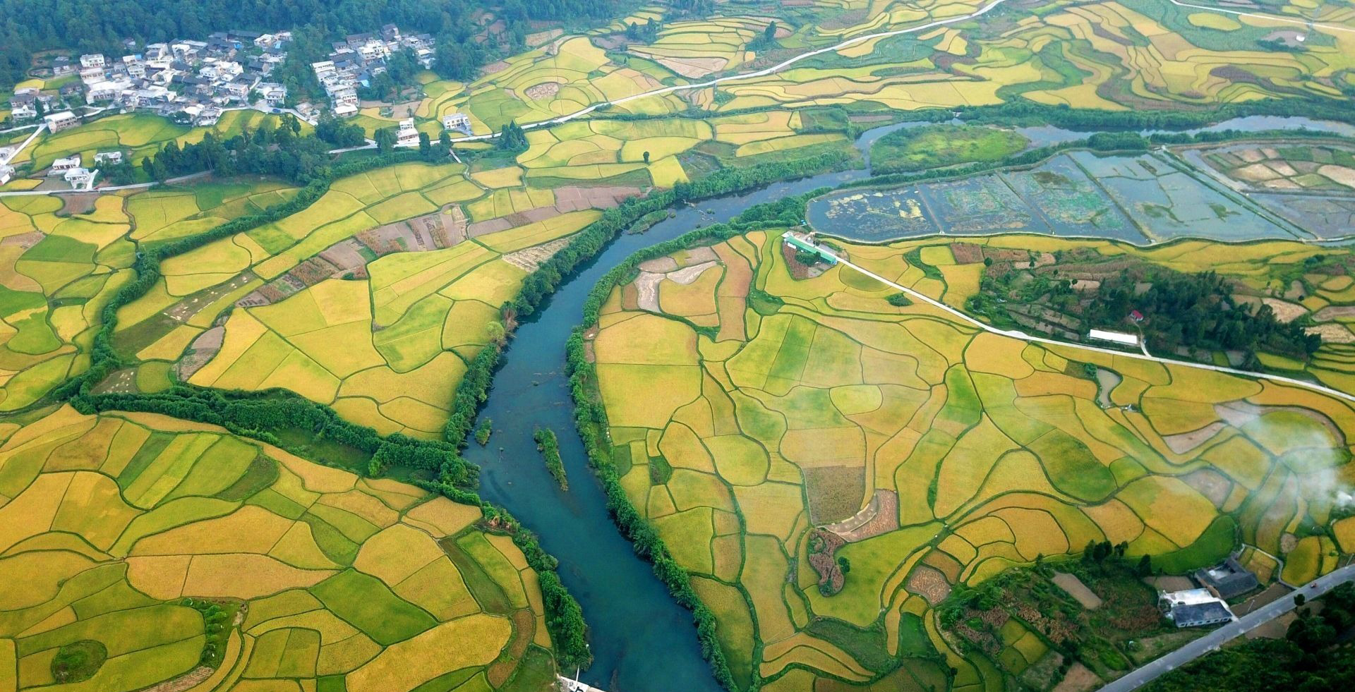 【專家視角】人工濕地建得好還要管得好
