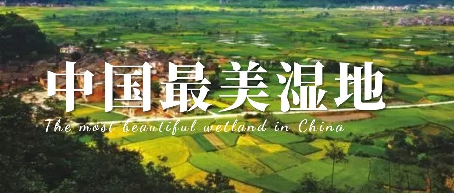 奇聞科普 | 中國最美濕地，你的家鄉上榜了嗎？