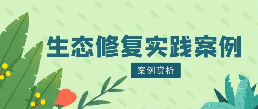 案例賞析 | 生態修復實踐案例