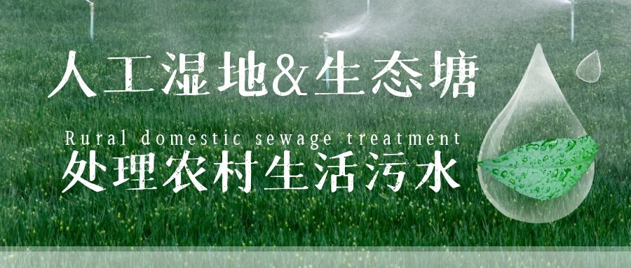 干貨 | 人工濕地與生態塘處理農村生活污水