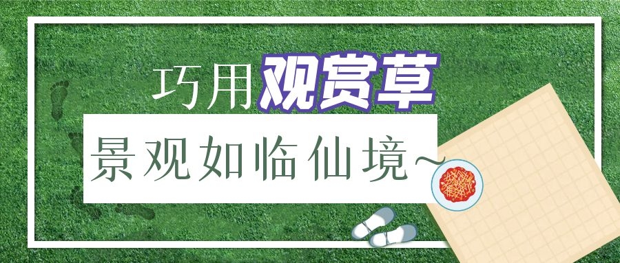 巧用觀賞草，景觀如臨仙境~